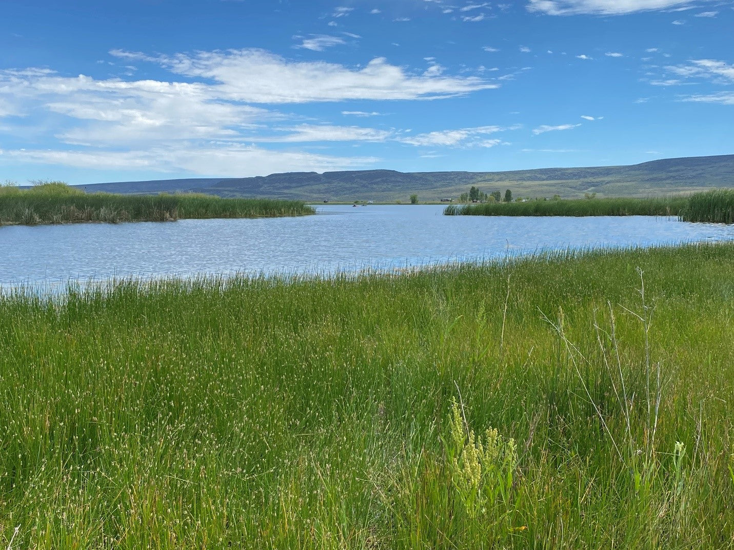 Idaho Angler