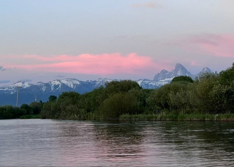 Idaho Angler