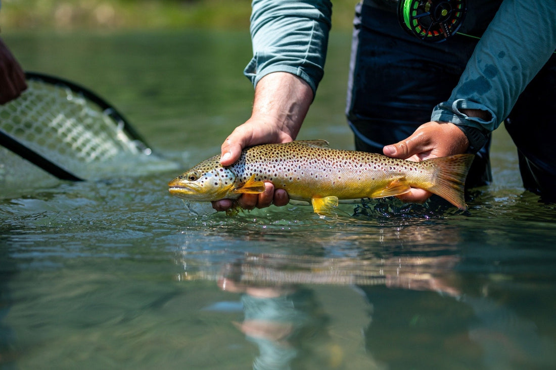 Fishing Report - August 31, 2025