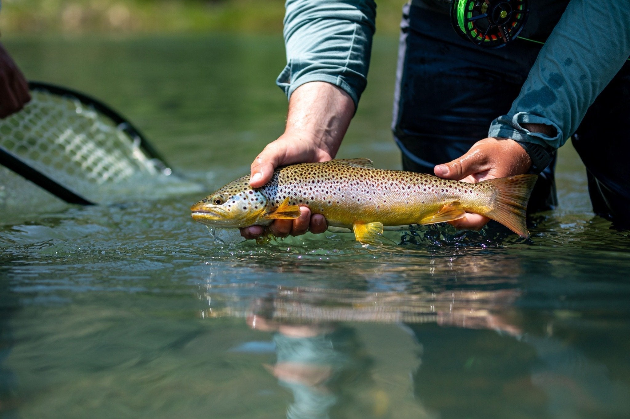 Fishing Report - August 31, 2025
