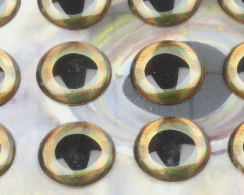 Fish Skull Living Eyes