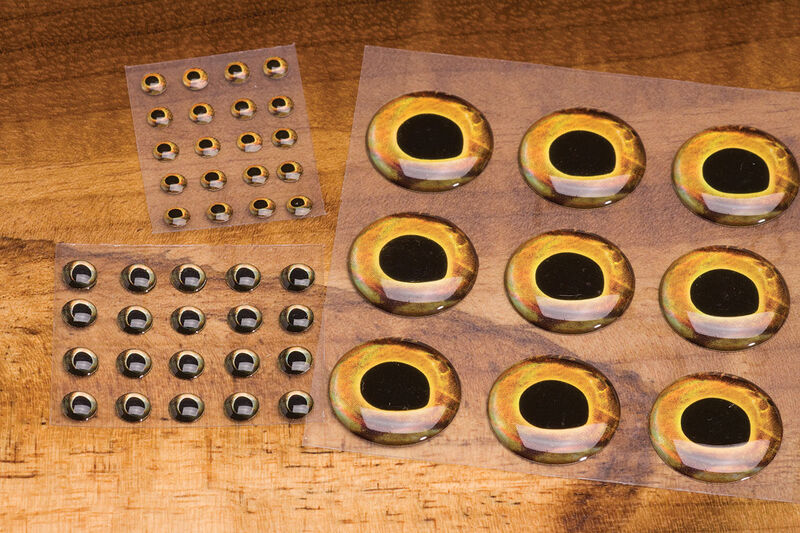 Fish Skull Living Eyes