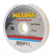 Maxima Chameleon