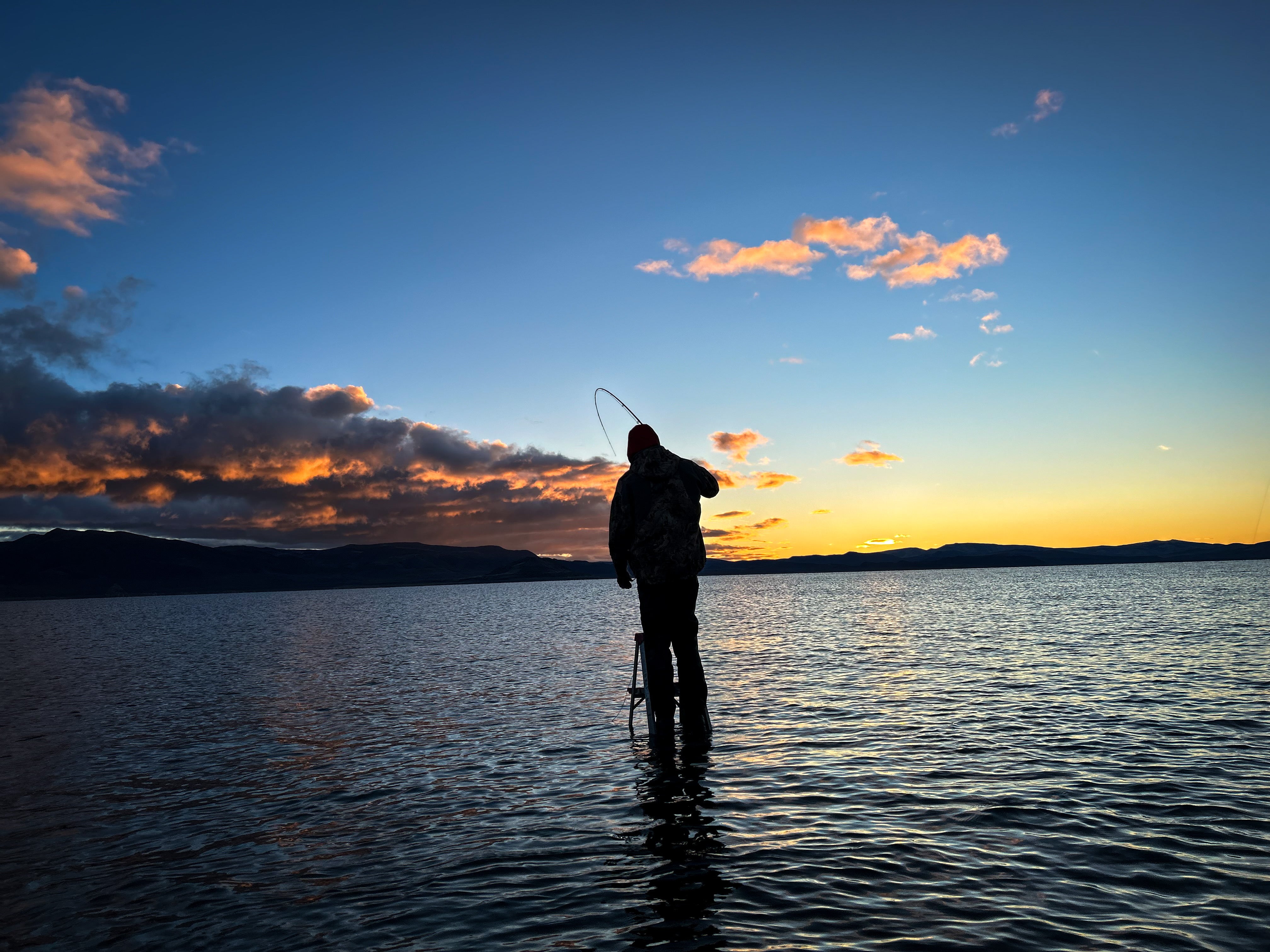 Idaho Angler