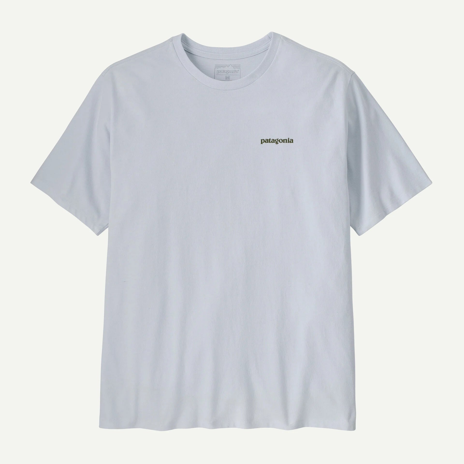 Patagonia Men's Take a Stand Responsibili-Tee