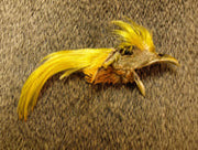 Nature's Spirit Golden Pheasant Crest