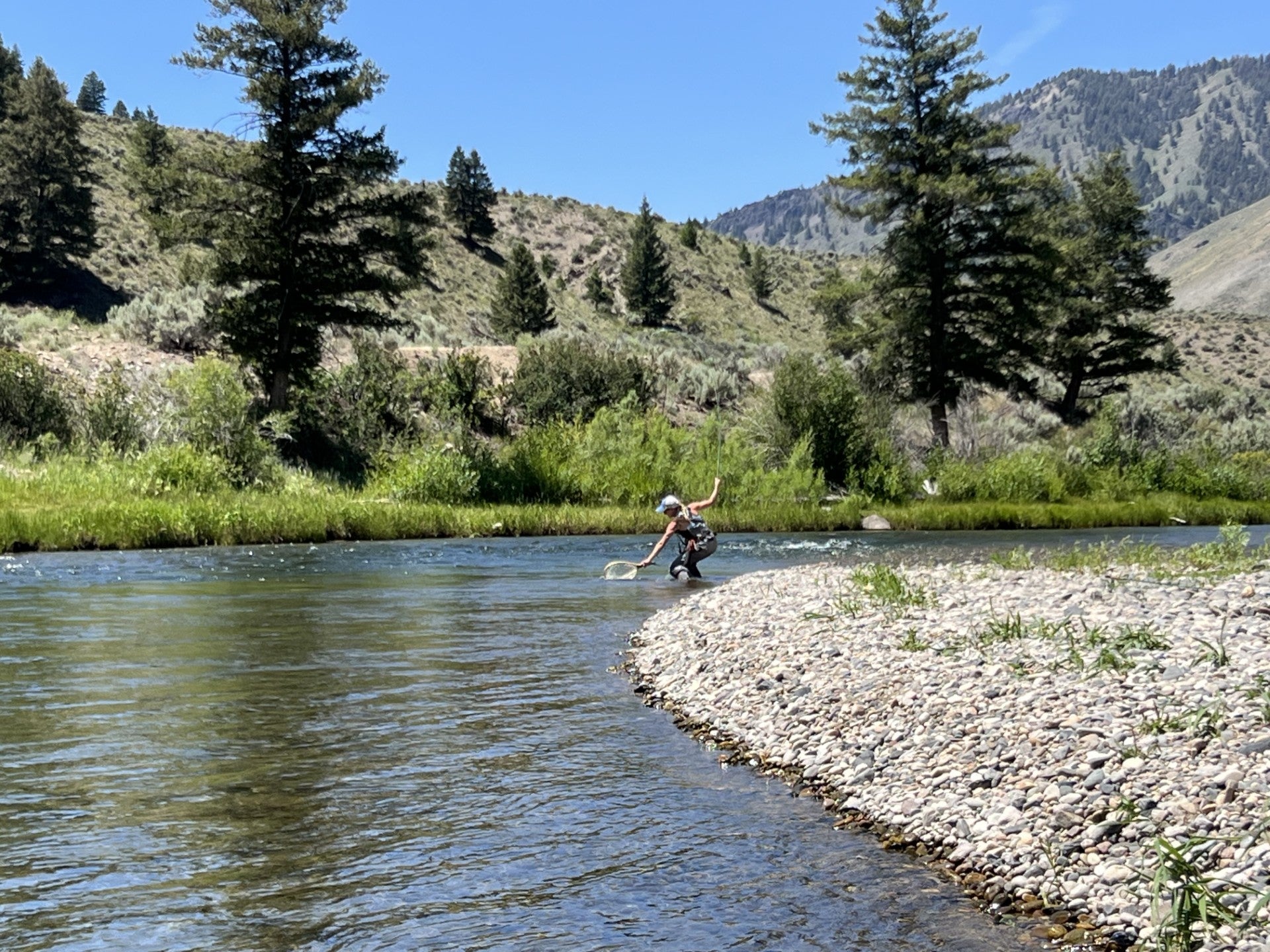Idaho Angler