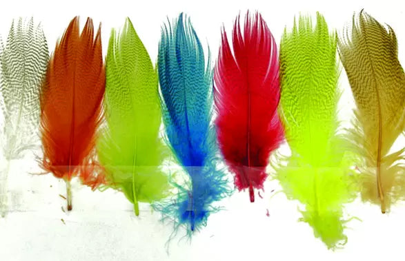 Mallard-Barred Flank Spey Select