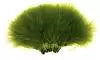 Strung Marabou