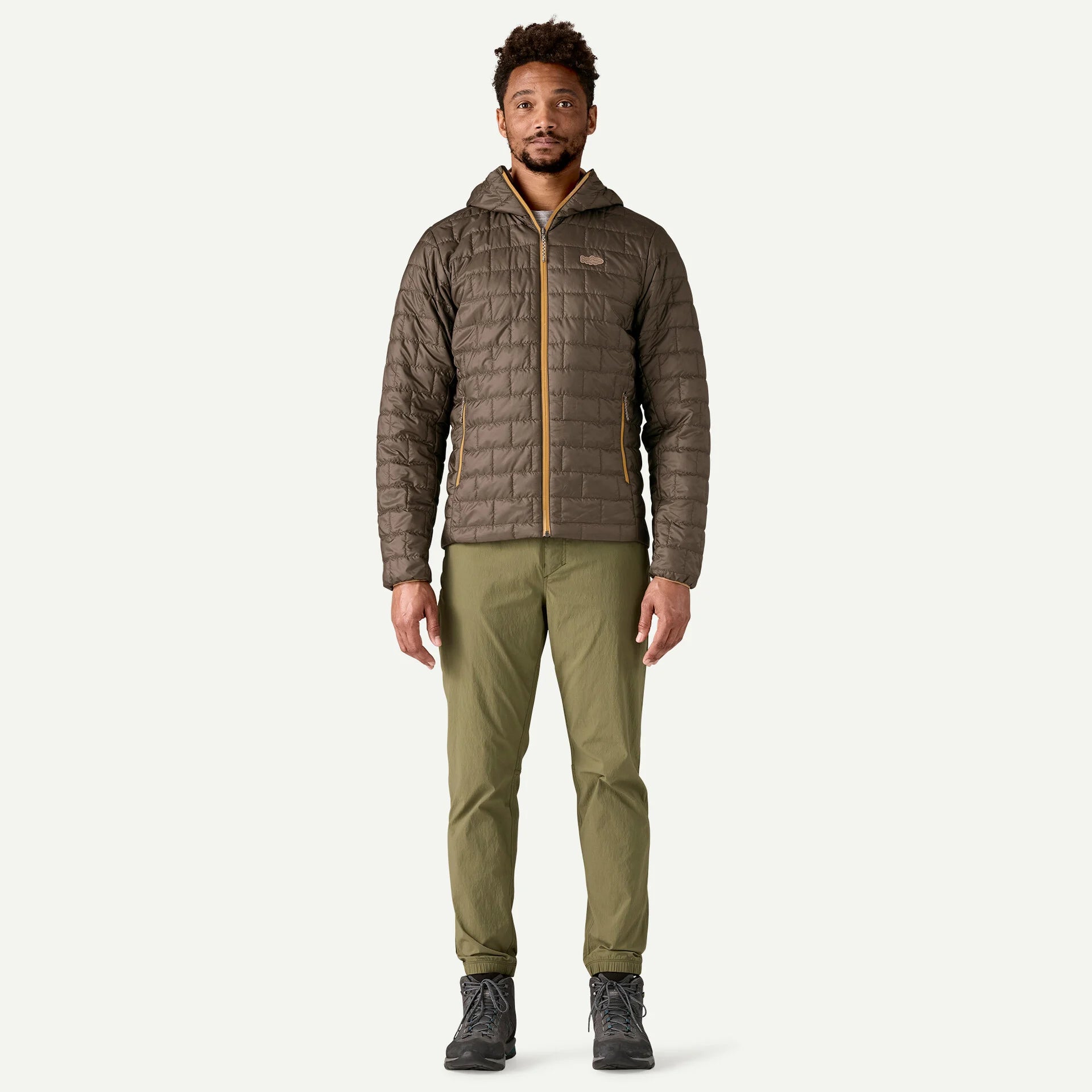 Patagonia Men's Nano Puff Fitz Roy Trout Hoody