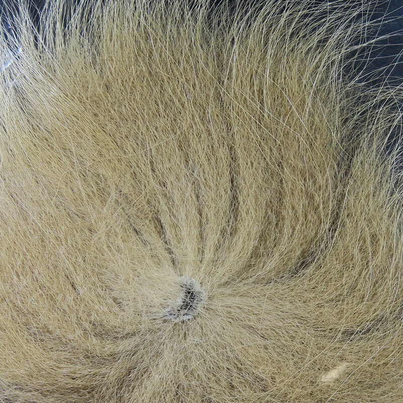 Arctic Fox Tail Hair