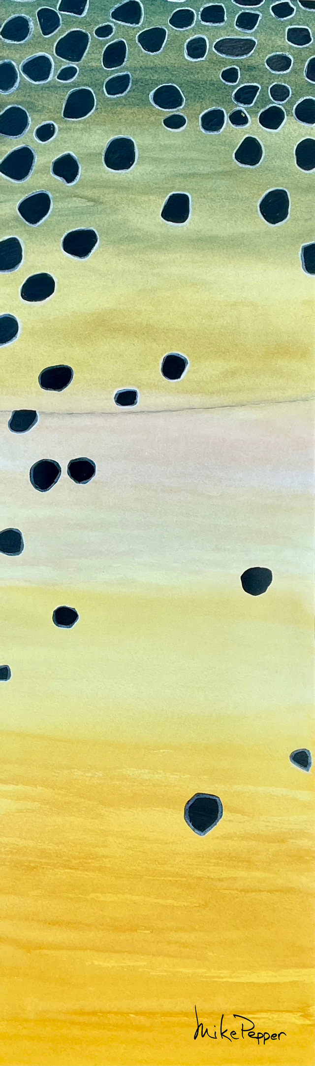 "Trout Flanks" Canvas Prints