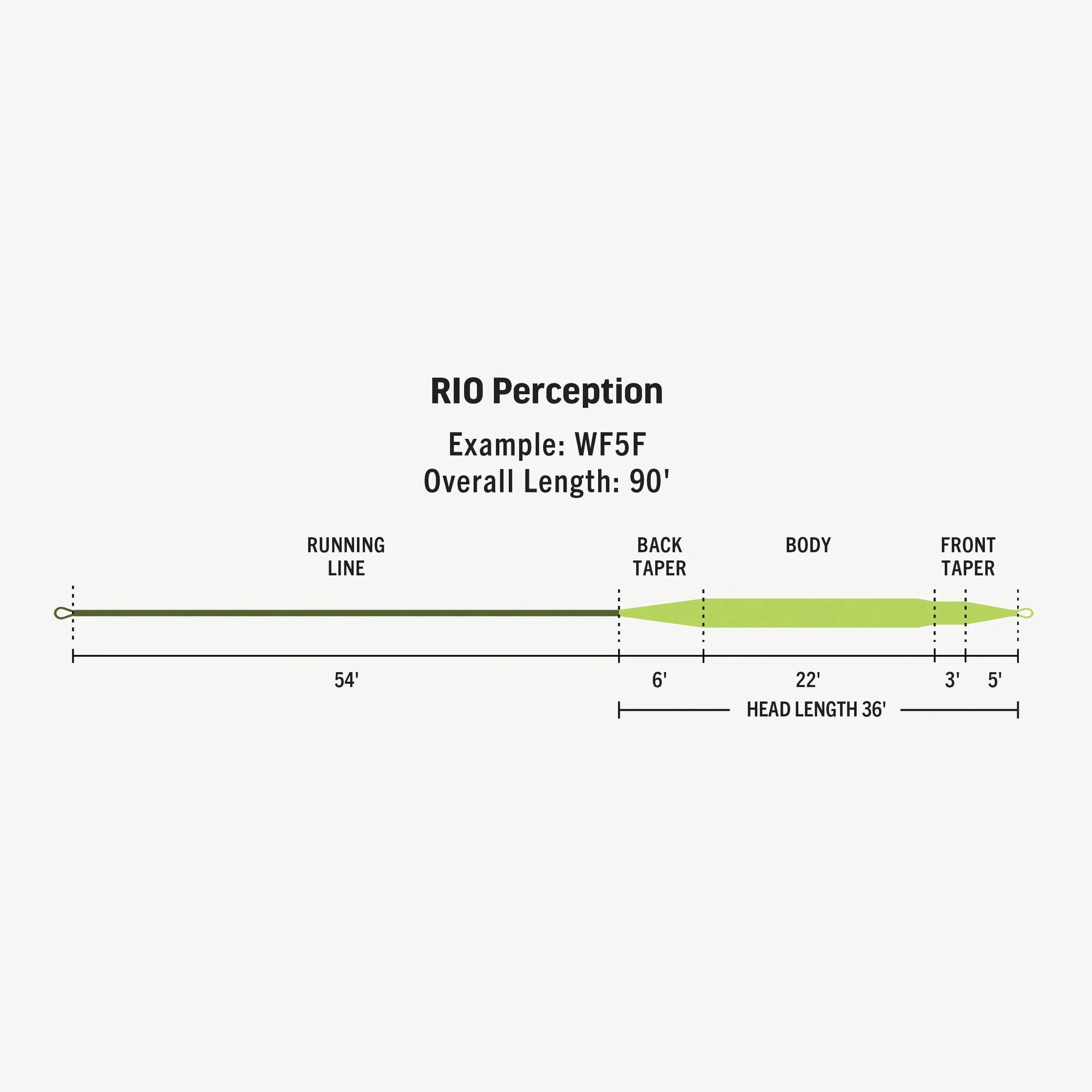 RIO Premier Perception Fly Line