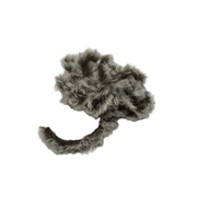 Hawgfish Pseudo Squirrel