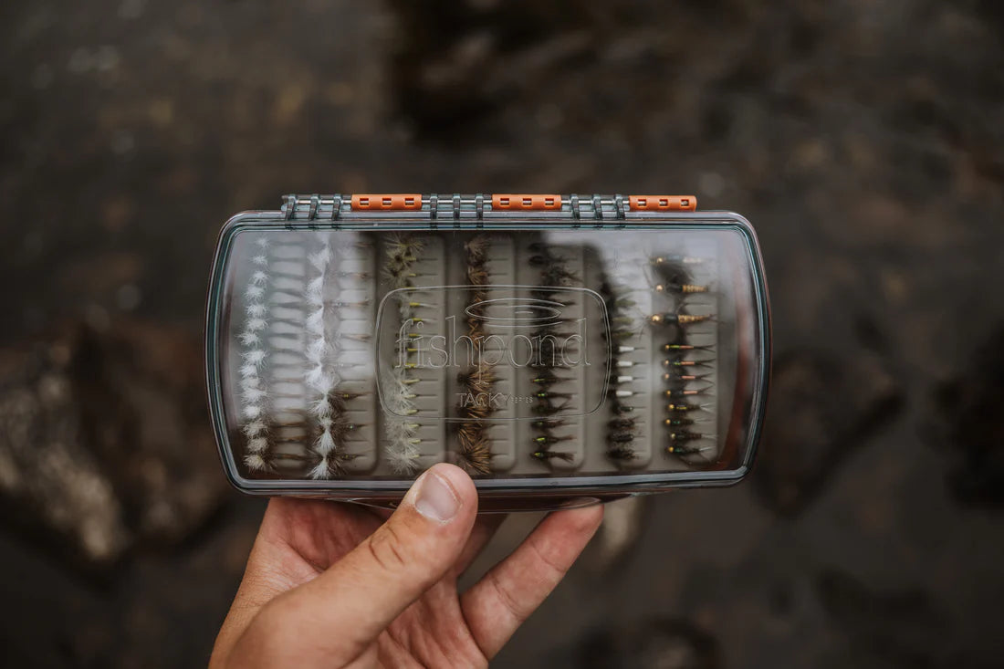 Tacky Pescador Clear Fly Box - Medium