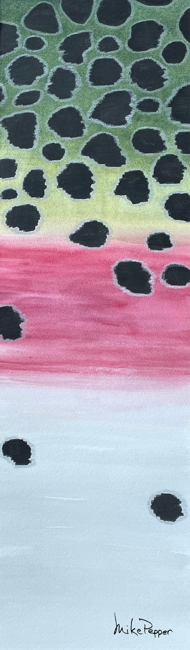 "Trout Flanks" Canvas Prints