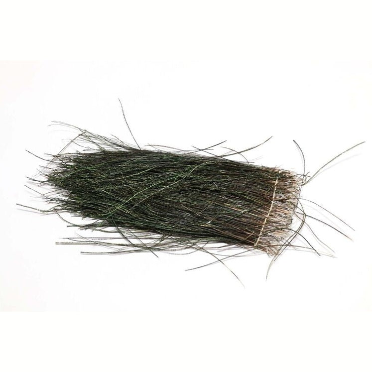 Strung Peacock Herl 8-10"
