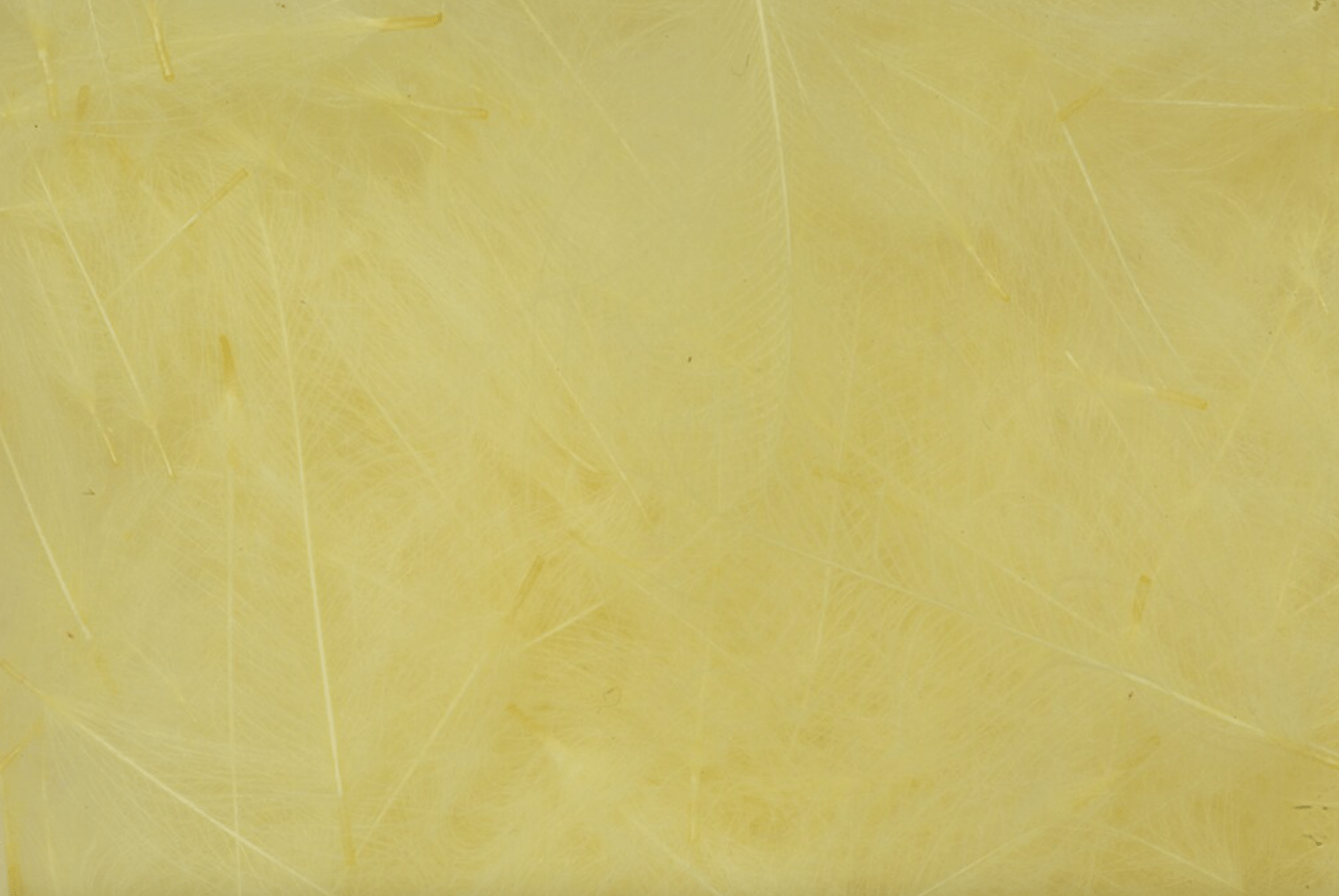 Premium CDC Feathers 1g