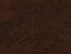Fulling Mill Premium CDC Feathers 1g