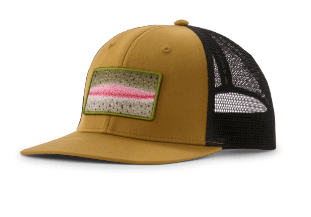 Patagonia Take A Stand Trucker Hat