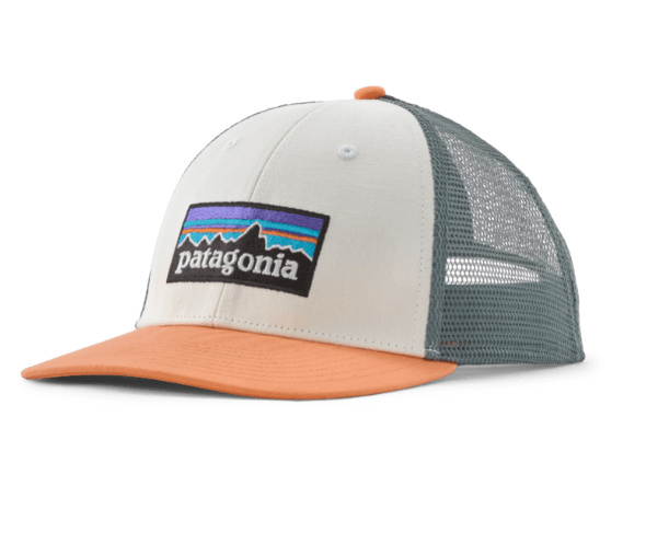 Patagonia P-6 Logo LoPro Trucker Hat