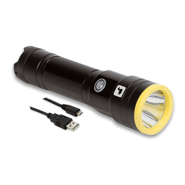 Loon UV Plasma Light