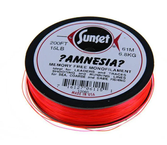 Amnesia Shooting Mono