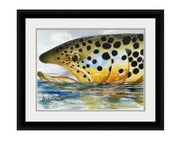 "Brown Trout Reflections" Watercolor Print