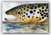 "Brown Trout Reflections" Canvas Print