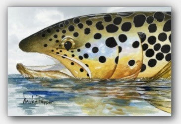 "Brown Trout Reflections" Canvas Print
