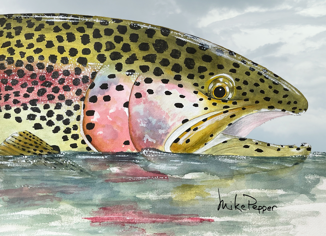 "Rainbow Trout Reflections" Canvas Print