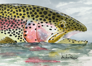 "Rainbow Trout Reflections" Canvas Print
