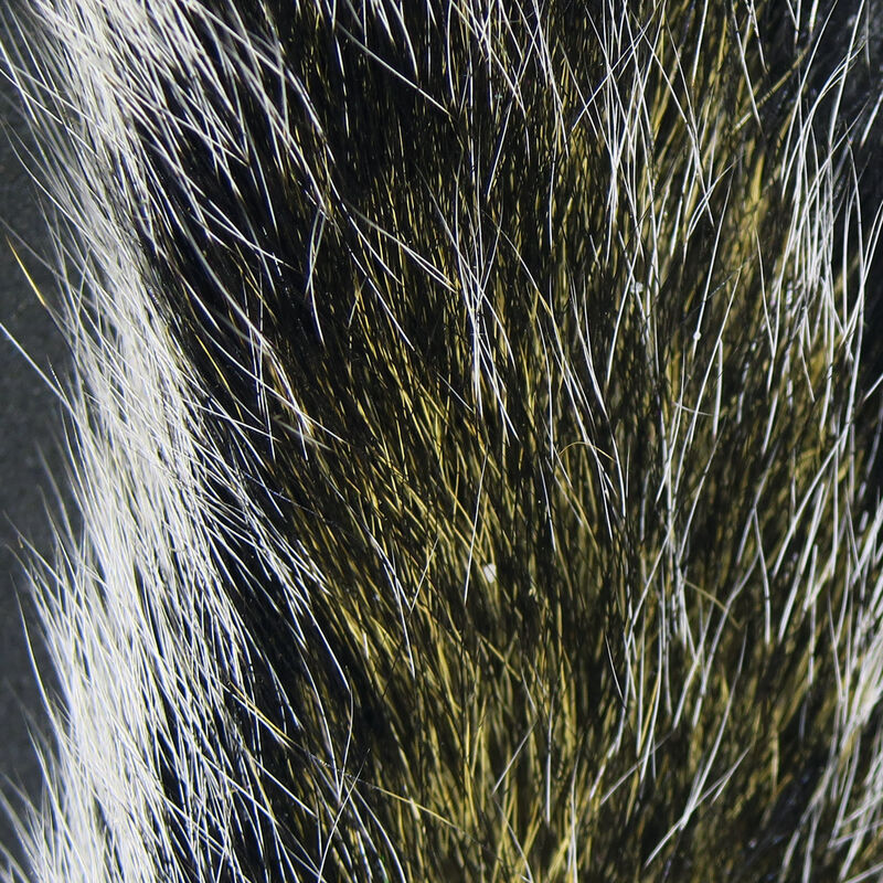 Hairline Gray Squirrel Tail