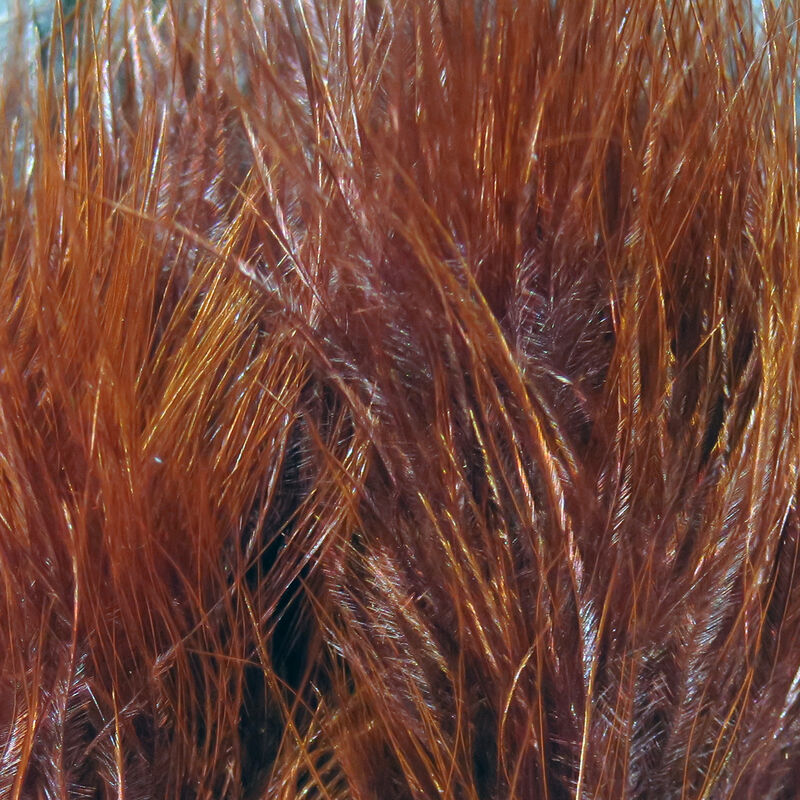 Marabou Blood Quills