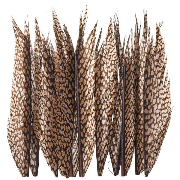 Golden Pheasant Tail Piece