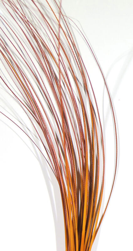 Hareline Quill Body
