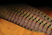 Ringneck Pheasant Complete Natural Clump