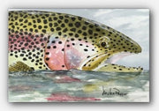 "Rainbow Trout Reflections" Canvas Print