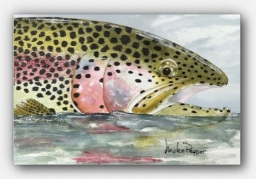 "Rainbow Trout Reflections" Canvas Print