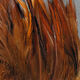 Strung Chinese Saddle Hackle 5-7"