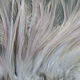 Strung Chinese Saddle Hackle 5-7"