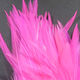 Strung Chinese Saddle Hackle 5-7"