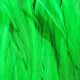 Strung Chinese Saddle Hackle 5-7"