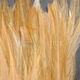 Strung Chinese Saddle Hackle 5-7"