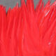 Strung Chinese Saddle Hackle 5-7"