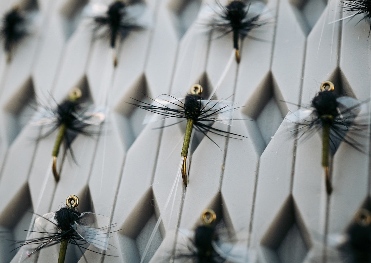 TMC 101 Hook - 100 Pack