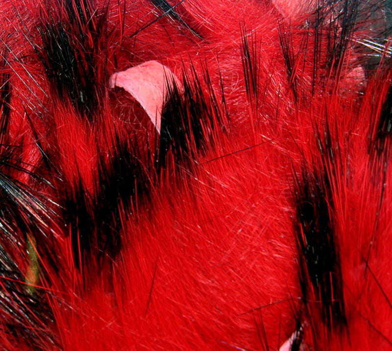 Crosscut Rabbit Strips - Two Tone